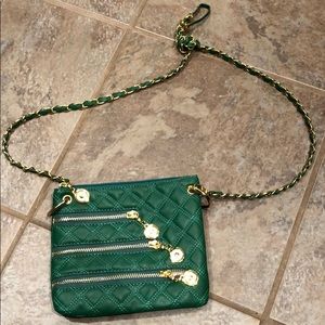 2 Chic Green & Gold Purse